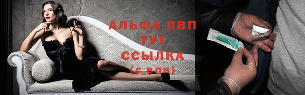 PSILOCYBIN Гусев