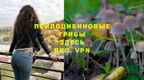 соль ск Гусь-Хрустальный