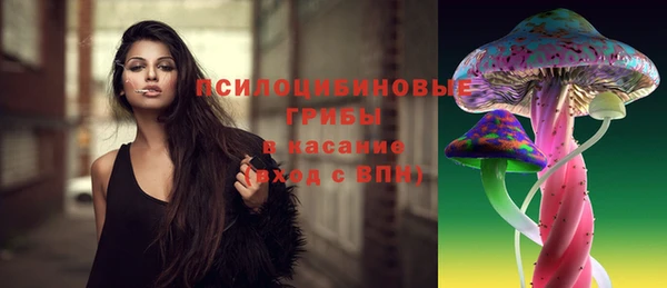 PSILOCYBIN Гусев