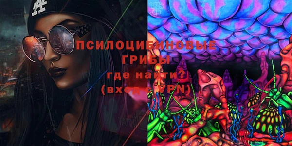 мяу мяу мука Гусиноозёрск