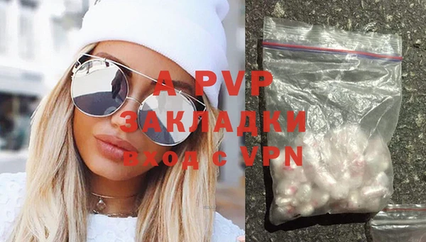PSILOCYBIN Гусев
