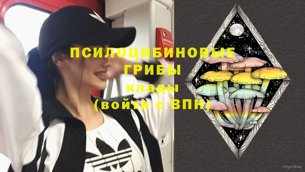 соль ск Гусь-Хрустальный
