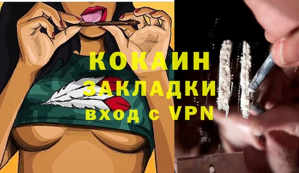 соль ск Гусь-Хрустальный