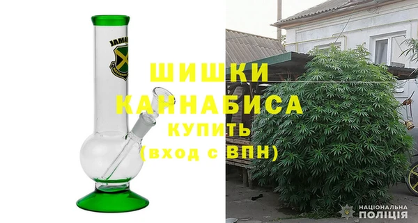 PSILOCYBIN Гусев