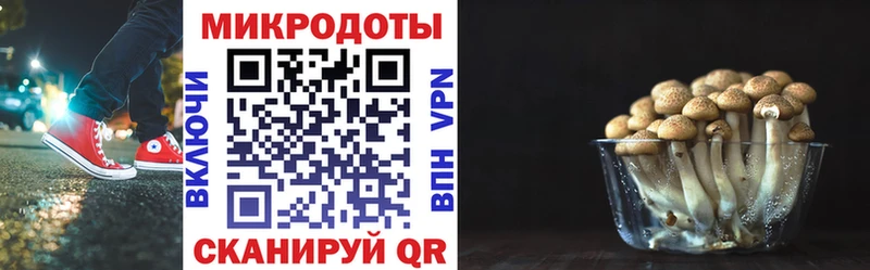 Купить закладки  Тавда  Псилоцибиновые грибы Psilocybe 